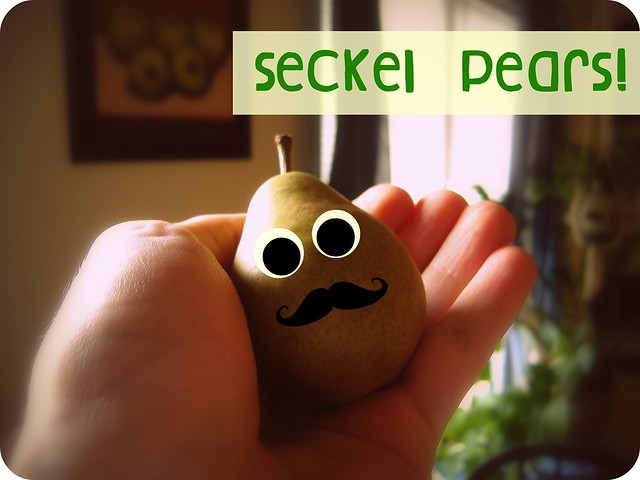 seckel pears