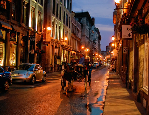 Horse and Beetle (on evening streets of Montreal)