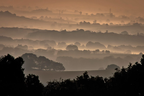  フリー写真素材, 自然・風景, 樹木, 丘, 霧・霞, イギリス,  