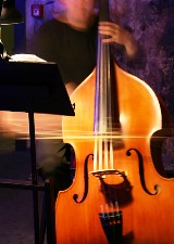 photo of double bass player performing