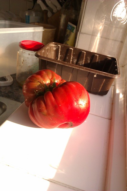A large tomato sitting on a windowsill