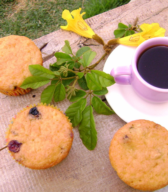 muffin de blueberry e cranberry