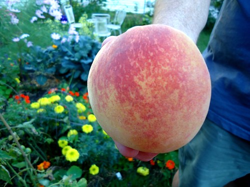 the half pound peach