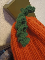 Pumpkin Hat.3