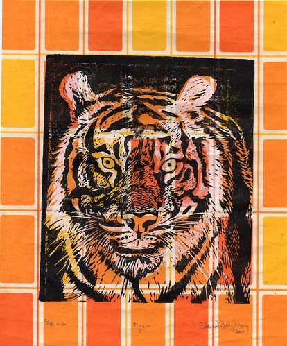 tiger431