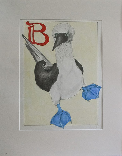 B is for Booby by anklecemetery