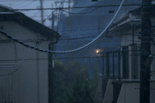 Typhoon by keganimushi