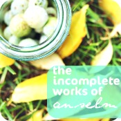 the incomplete works of anselm