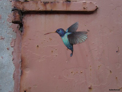 Hummingbird by Dan Witz