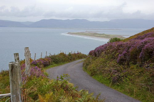 Our road from Rossbeigh Beach