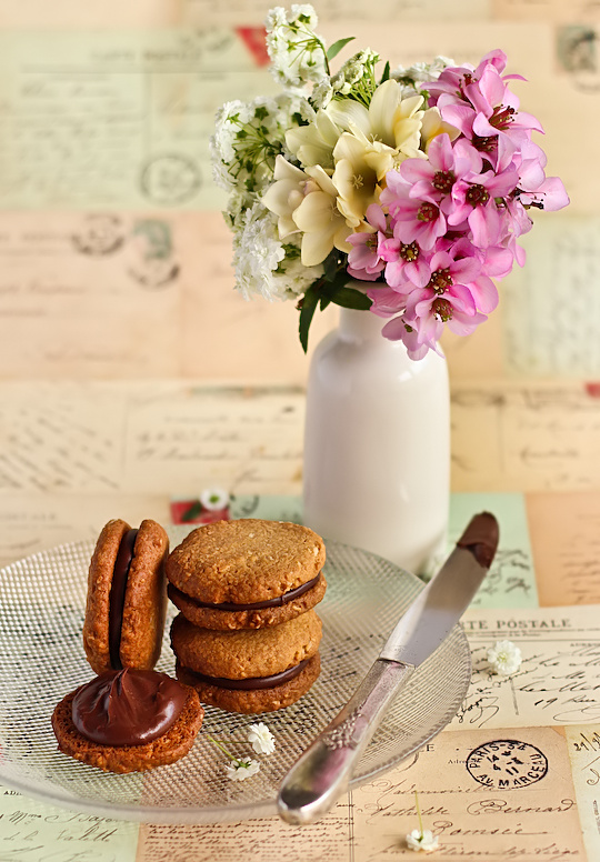 oat_coconut_choc_biscuits-2