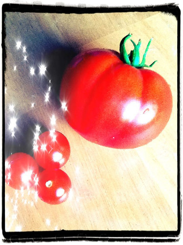 first big tomato!