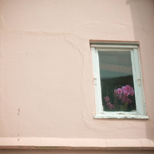 Flowers in a Window