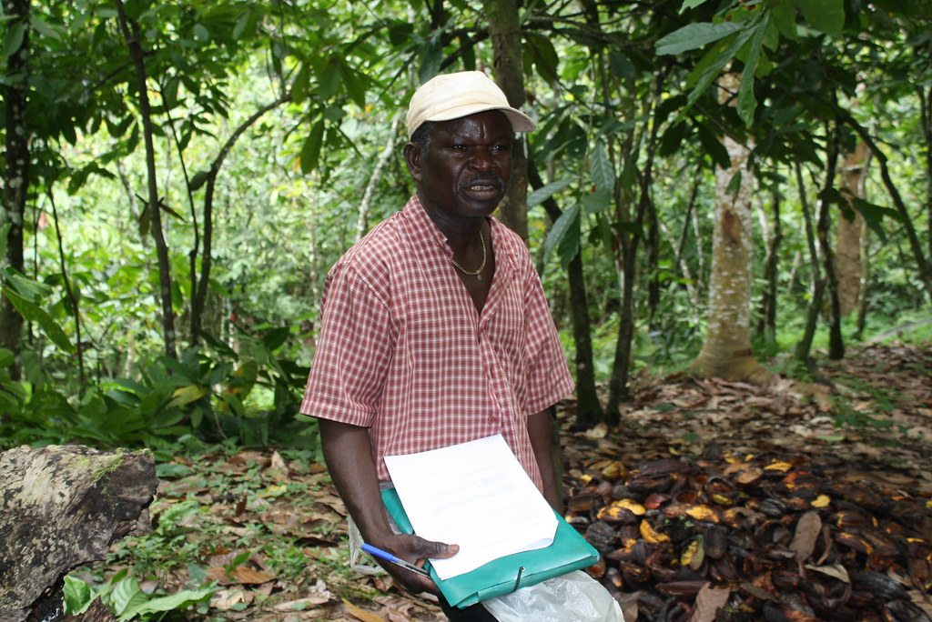 Formateur local cacao bio Togo