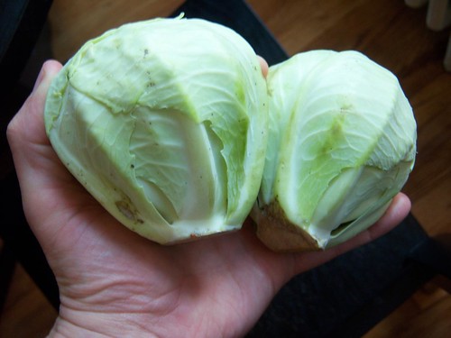 Two Tiny Cabbages