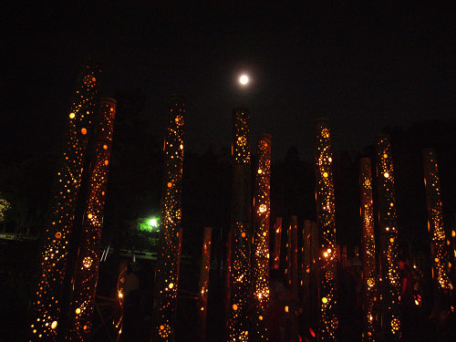 2011なら燈花会＠奈良市-17