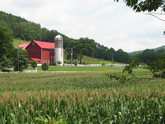 Catskills farm (by: Neill Cleneghan, creative commons license)