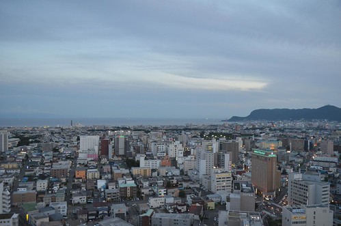 五稜郭タワーから見た函館市
