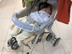 嬰兒照顧 嬰兒推車 寶寶