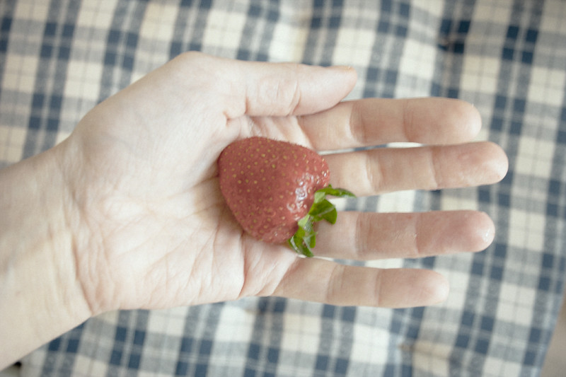 strawberry_hand
