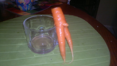 Ceci n'est pas une carrotte..Magritte by ngoldapple
