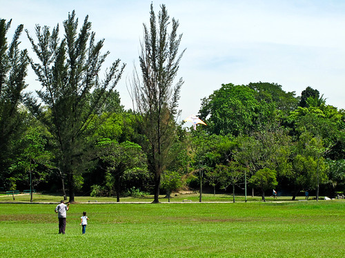 IMG_0571 Flying Kite , 放风筝，Polo Ground ,Ipoh