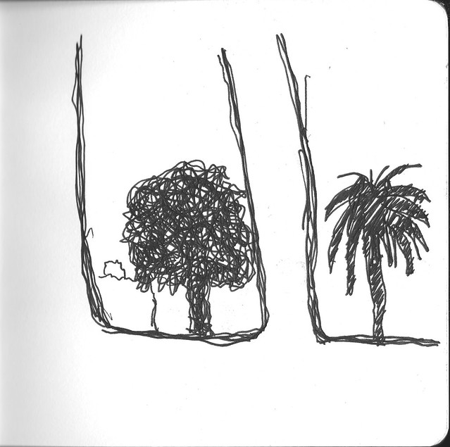 Palms -- BART Drawing