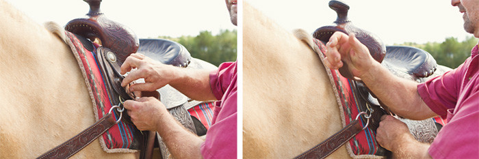 Halifax NS Wedding Portrait Horse Equine photography - Splash & Donna - Nicole Payzant -  (11 of 26)