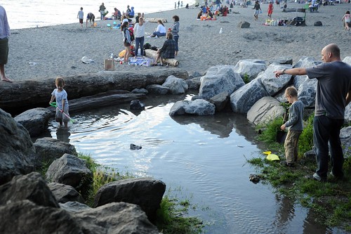 Daddy and the kids, digging the pond, people enjoying the beach, Golden Gardens Park, Seattle, Washington, USA by Wonderlane