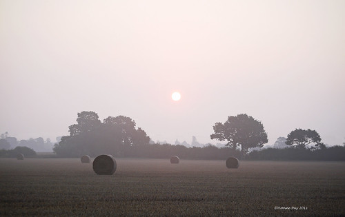 Bales in the mist by yvonnepay615