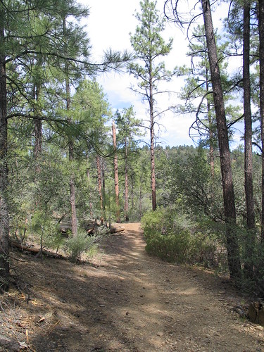 A view of the path