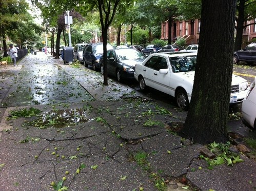 Hurricane Irene in Brooklyn