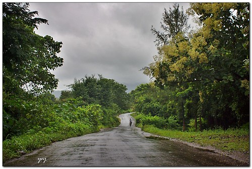 Wet Monsoon Road by Yogendra174