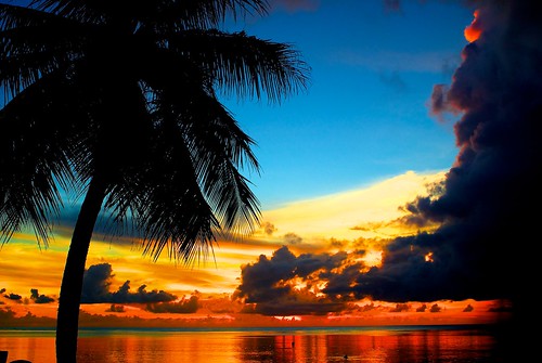 フリー写真素材|自然・風景|海|夕日・夕焼け・日没|やしの木|グアム|