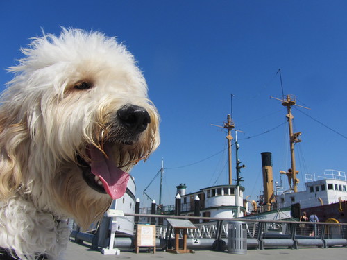 Casey's Joy at the Center for Wooden Boats, 9-5-11 by MaryWit