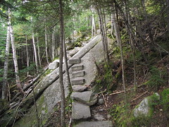 Steps on the Fishing Jimmy trail
