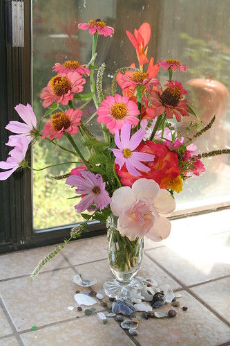 Late Summer Flowers from Our Garden