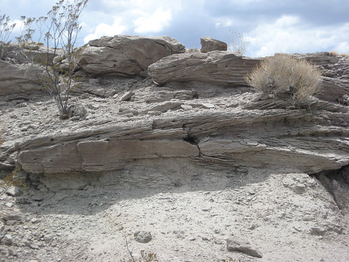 Eocene Sediments