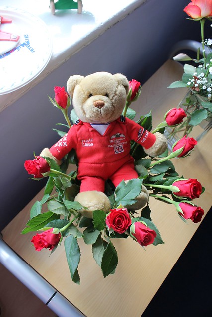 Lingy the Bears flower tribute