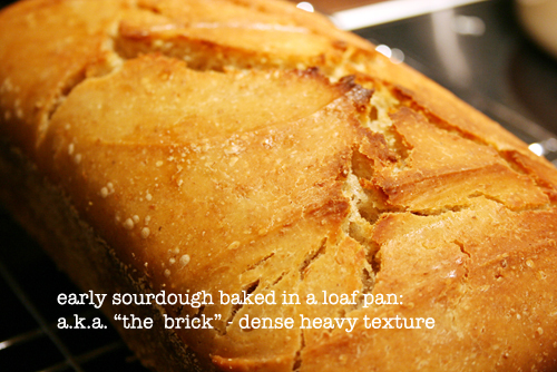 sourdough crust