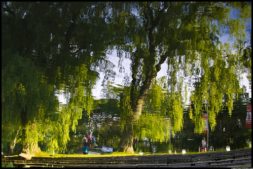 Centre Island Reflections by Christian Stepien.com