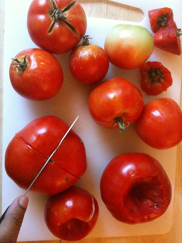 Scoring the tomato bottoms