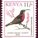 kenya-birds-11-350