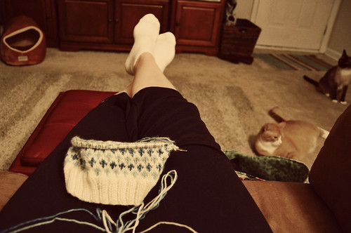Friday Night Knitting by raverlygirl