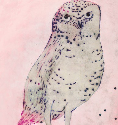 hadley hutton spotted owl print