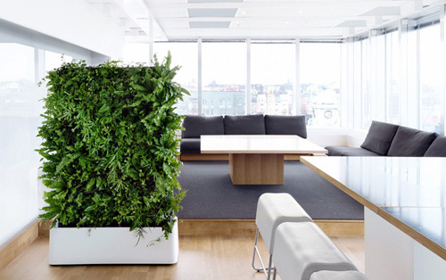 environmentally-friendly-interior-design