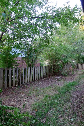 Cleared Fence