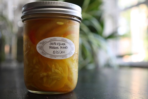 Jen's Bread and Butter Freezer Pickles