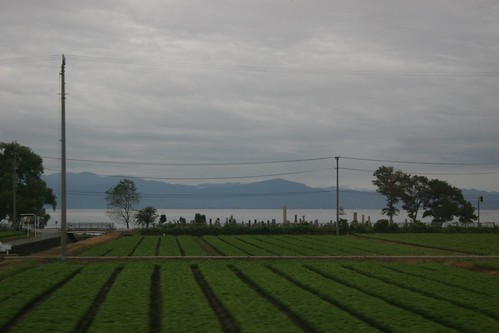 Biwako and rice fields at 6:30 am