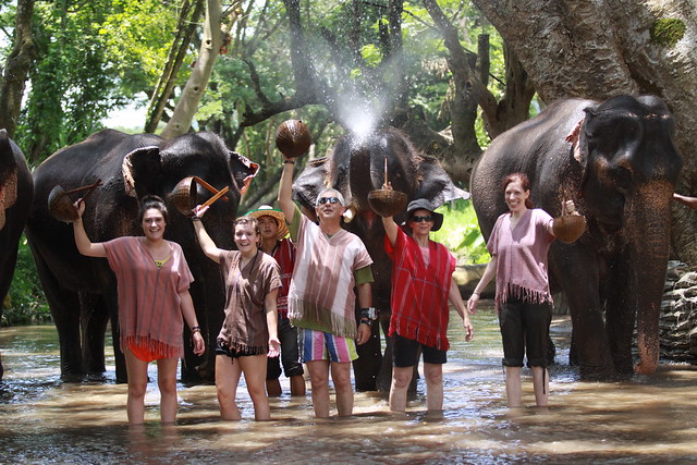 ¡TAILANDIA EN CHANCLETAS! - Blogs de Tailandia - Patara Elephant Farm (17)